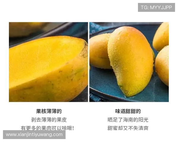 芒果体育奇异果体育下载常见的网络连接问题及解决方案