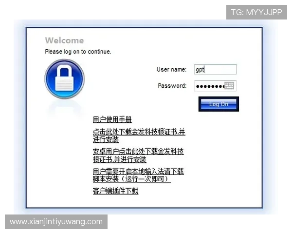 多米体育登录入口访问异常解决方案，确保用户顺利进入平台体验精彩赛事